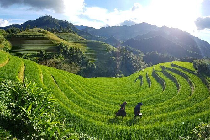 2 Days and 1 Night Trekking Group Tour - An In-Depth Look at the Sapa Trekking Tour