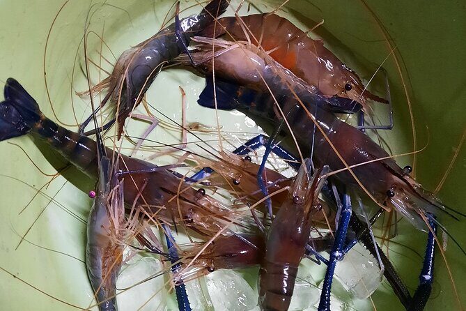 2 Days Ayutthaya Authentic Tour with the Local - Frequently Asked Questions