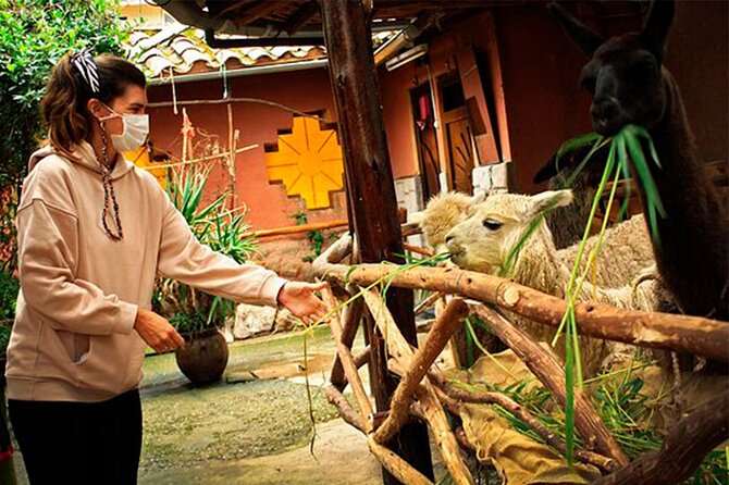 2 Days Best Machupicchu Tour - Private Guided Experience. - What To Expect