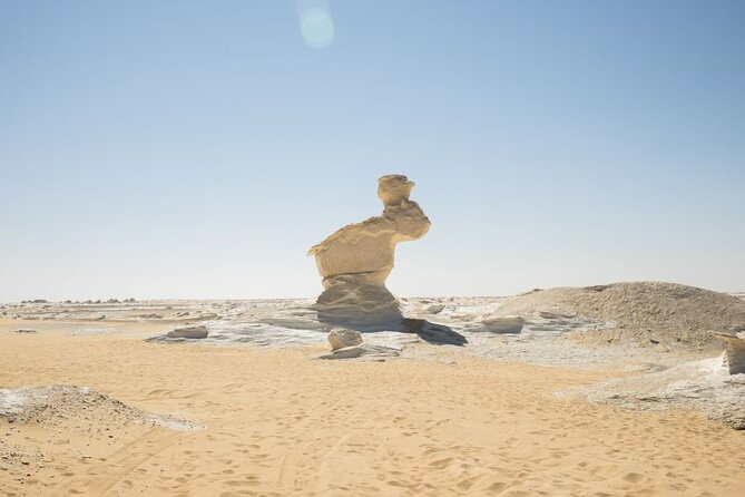 2 Days Cairo to Bahariya Oasis and Black Desert - Transportation and Guide