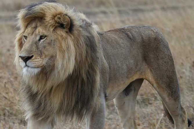 2 Days Camping Safari, Lake Manyara & Ngorongoro Crater - Participant Guidelines