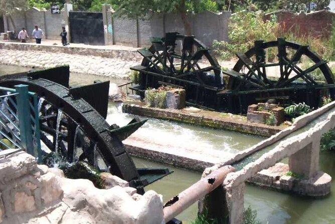 2 Days Camping Trip PRIVATE in Fayoum Oasis From Cairo - Packing Essentials