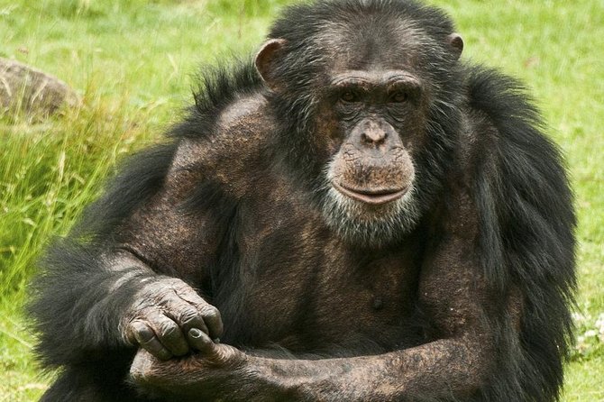 2 Days Chimpazee Safari in Kibale Forest Park Uganda. - Accommodation Details