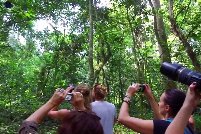 2 Days Chimpazee Safari in Kibale Forest Park Uganda. - Customer Reviews