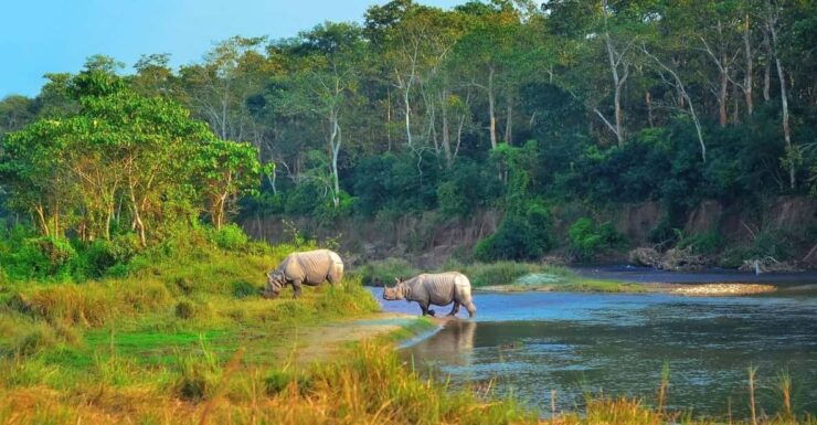 2 Days Chitwan Jungle Safari Tour From Pokhara/Kathmandu - Itinerary Highlights