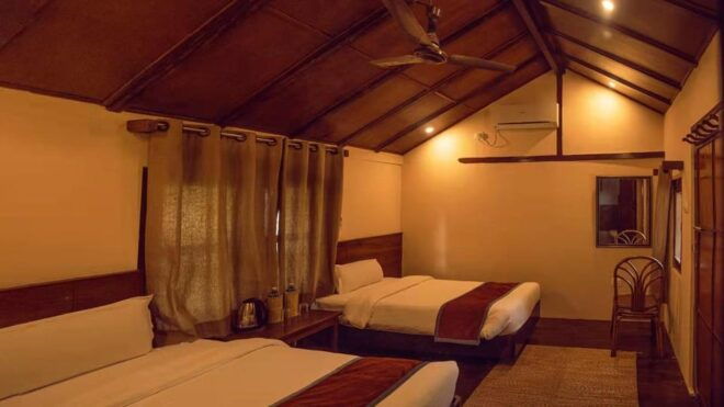 2 Days Chitwan Jungle Safari Tour From Pokhara/Kathmandu - Accommodation Details