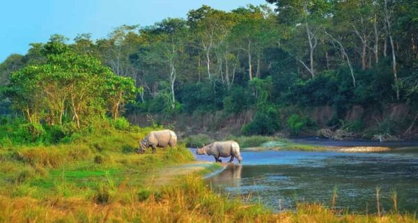 2 Days Chitwan Jungle Safari Tour From Pokhara/Kathmandu - Questions You May Have