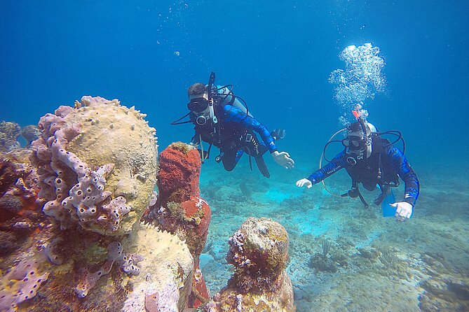 2 Days Class: SDI Open Water Diver Certification in Cancun - Inclusions
