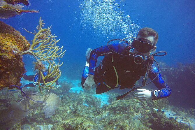 2 Days Class: SDI Open Water Diver Certification in Cancun - Material for Study