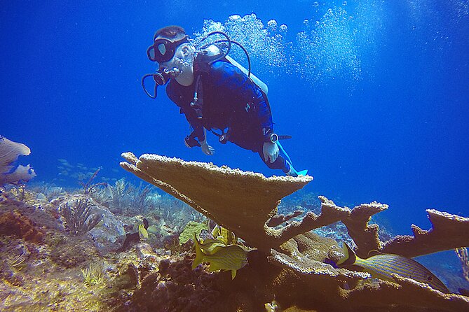 2 Days Class: SDI Open Water Diver Certification in Cancun - Transportation and Logistics