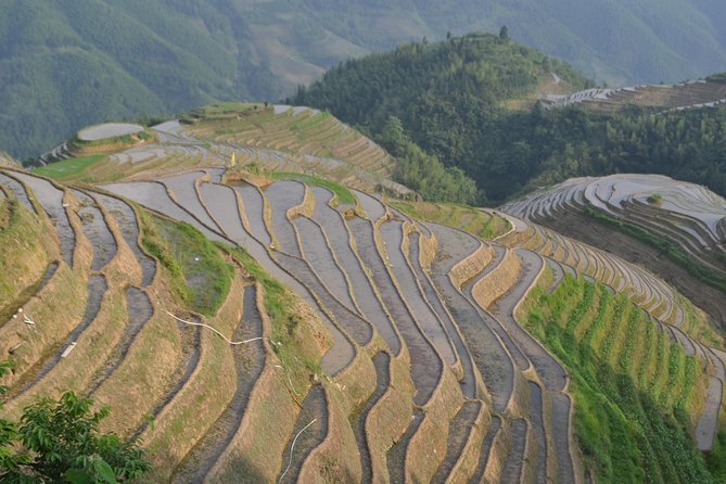 2 Days Classic Guilin Li River and Longji Rice Terraces Tour - Tour Highlights