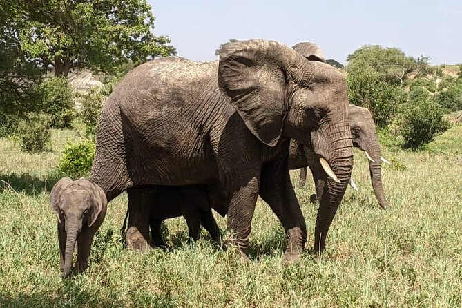 2 Days Comfort Tarangire National & Ngorongoro Crater Tour - Exclusions