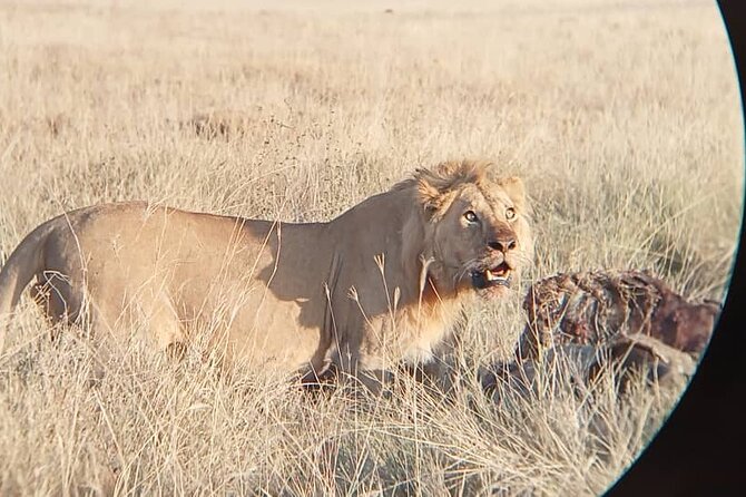 2 Days Comfort Tarangire National & Ngorongoro Crater Tour - Pickup Information