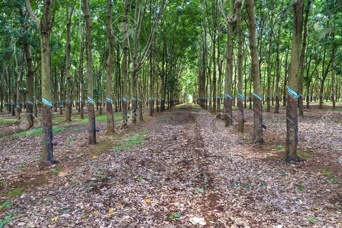 2 Days Daklak Highland Tour From Nha Trang Included Hotel And Meals - Common Questions