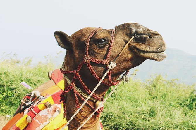 2 Days Desert Tour Fez to Marrakech (Or Back to Fez) - Accommodation Details