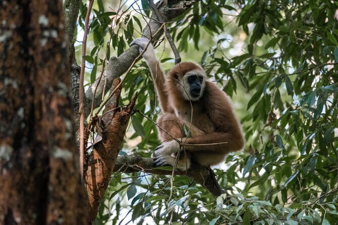 2 Days Ethical Jungle Trek in Sumatra - What the Tour Includes and What It Doesn’t