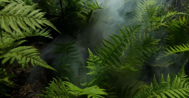 2 Days Expedition From Bukit Lawang: Connect With Nature - Experience Highlights