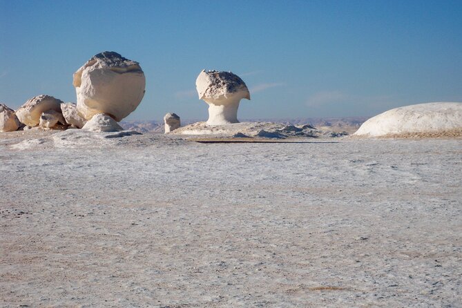 2 Days Explore the Unique White Desert From Cairo - Expert Guided Tours