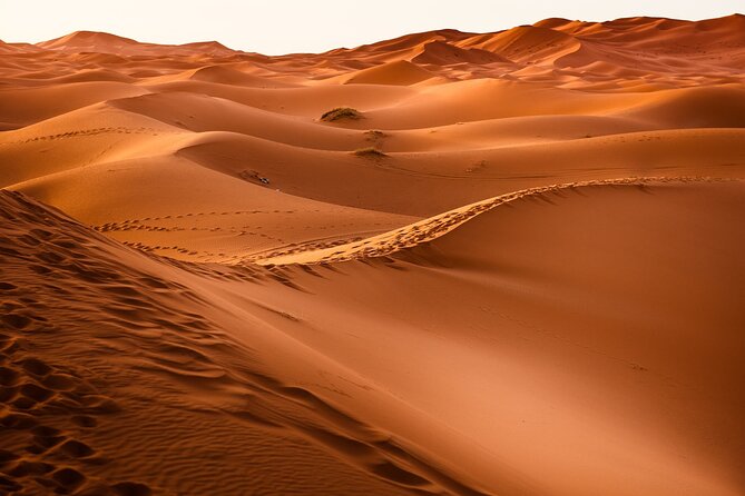 2 Days Fes to Merzouga Back to Fes - Good To Know