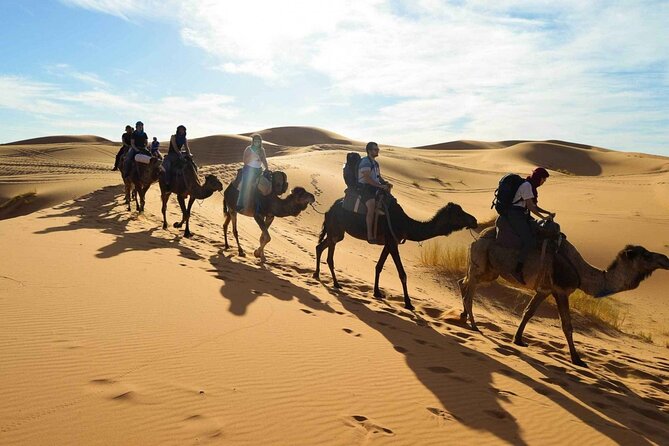 2 Days Guided Tour to Zagora From Marrakech - Inclusions