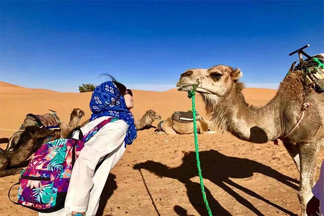 2 Days Guided Tour to Zagora From Marrakech - Reviews