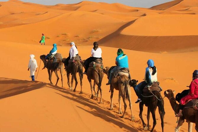 2 Days Guided Tour to Zagora From Marrakech - The Sum Up