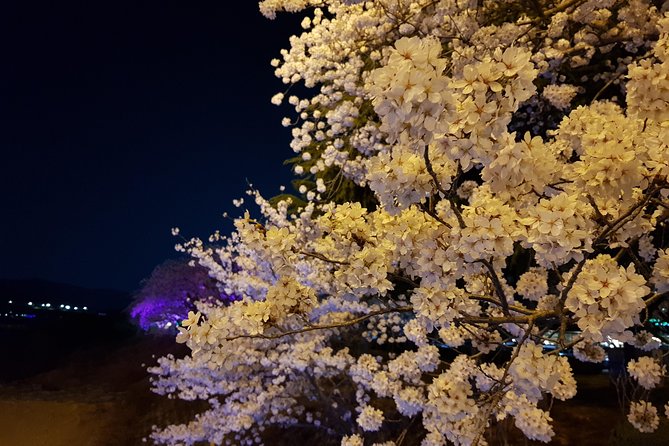 2 Days Gyeongju Private Tour From Seoul and Near Seoul - Tour Overview