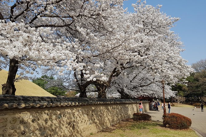 2 Days Gyeongju Private Tour From Seoul and Near Seoul - Notable Points