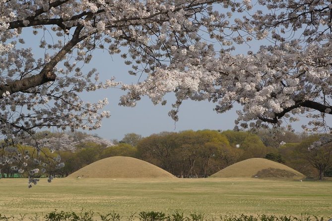 2 Days Gyeongju Private Tour From Seoul and Near Seoul - Directions