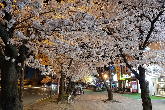 2 Days Gyeongju Private Tour From Seoul and Near Seoul - Common Questions