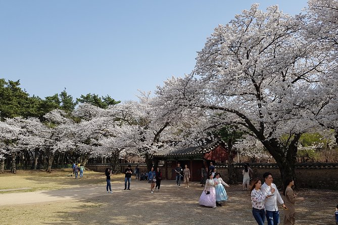2 Days Gyeongju Private Tour From Seoul and Near Seoul - The Sum Up