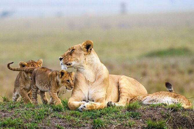 2 Days Hells Gate Lake Naivasha and Lake Nakuru Safari - Frequently Asked Questions