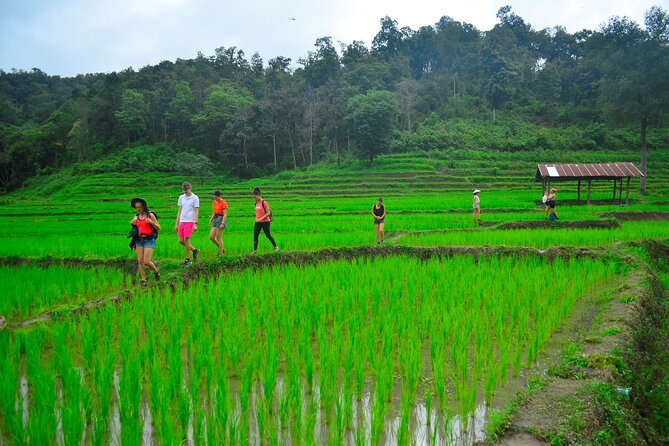 2 Days Hiking Tour in Chiang Mai - Dinner Details