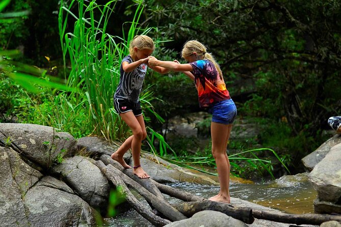 2 Days Hiking Tour in Chiang Mai - Lunch Arrangements