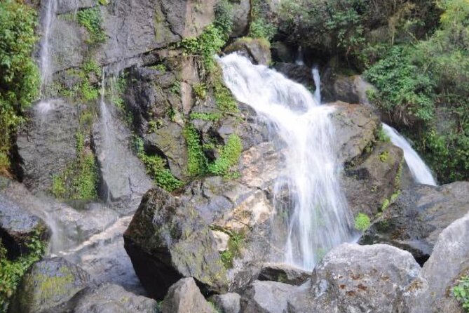 2 Days Hindu Pilgrimage Tour in Nepal - Itinerary for Day 2 of the Tour