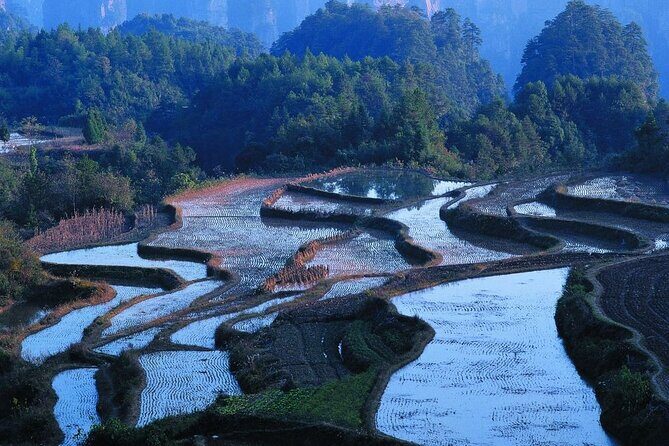 2 Days Honghe Yuanyang Hani Rice Terraces Private Tour - An In-Depth Look at the Tour Experience