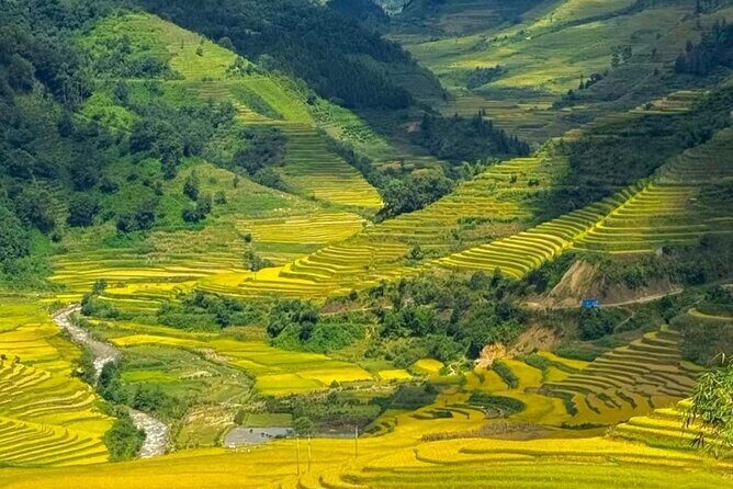2 Days Honghe Yuanyang Hani Rice Terraces Private Tour - The Beauty of the Honghe Yuanyang Rice Terraces  