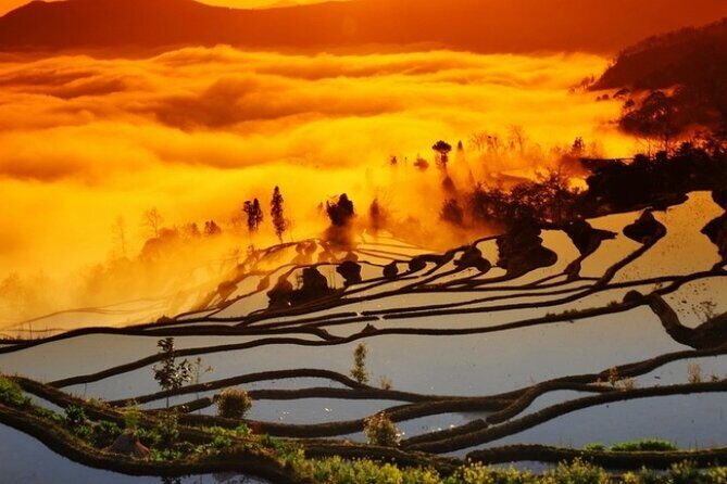 2 Days Honghe Yuanyang Hani Rice Terraces Private Tour - Practical Details and Value  