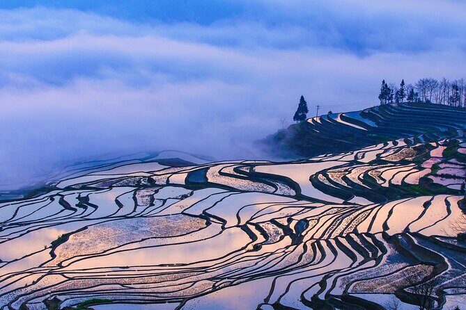2 Days Honghe Yuanyang Hani Rice Terraces Private Tour - Authentic Cultural Encounters  