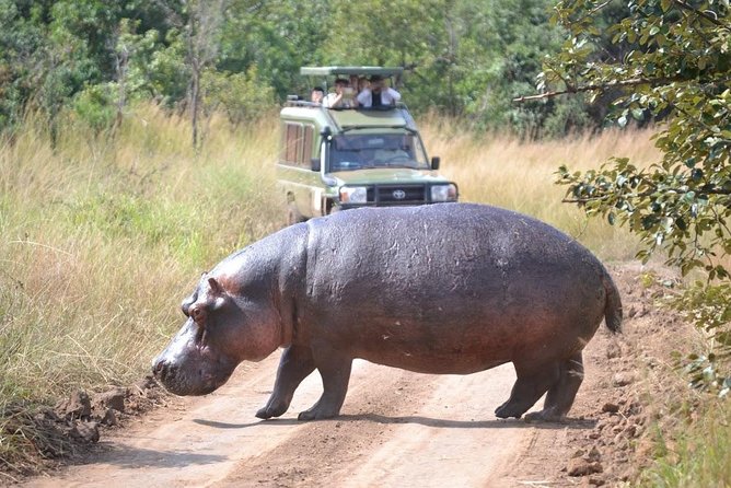 2 Days in Akagera National Park - Accommodation and Meals