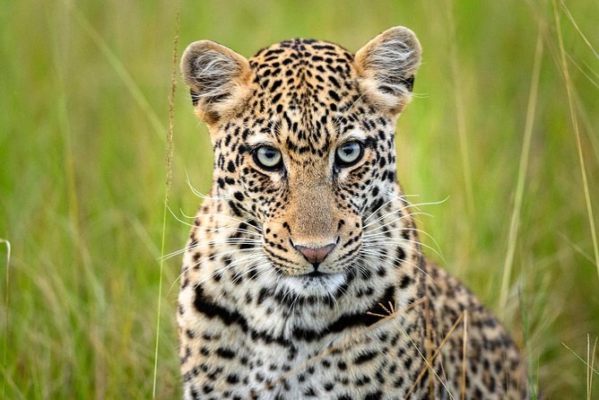 2 Days in Akagera National Park - The Sum Up