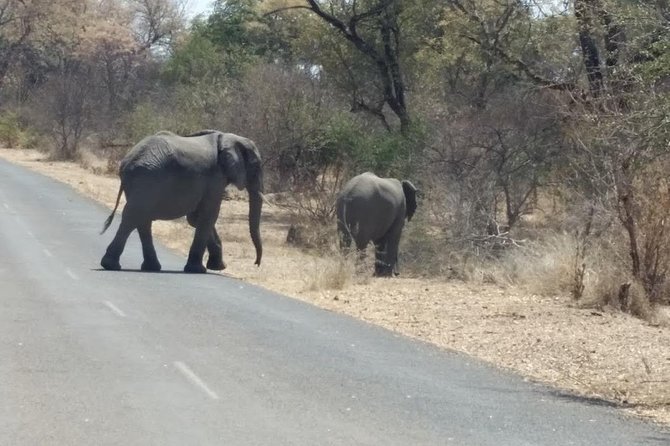 2 Days in Hwange National Park From Victoria Falls - Meal Options