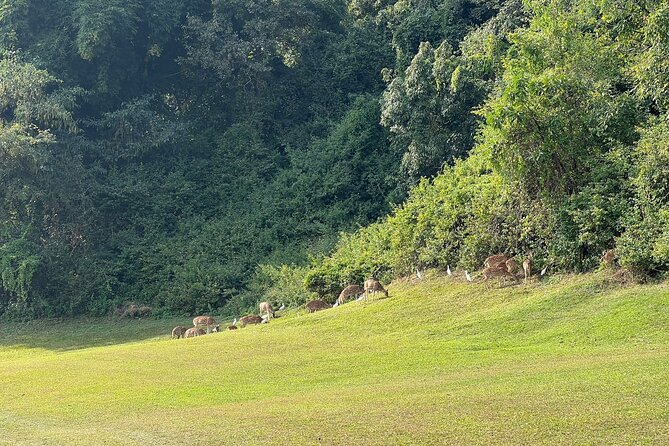 2 Days in Kathmandu With Golf - Sightseeing in Kathmandu