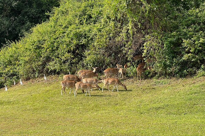 2 Days in Kathmandu With Golf - Planning Your 2-Day Itinerary
