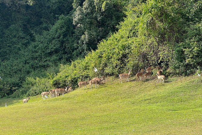 2 Days in Kathmandu With Golf - The Sum Up