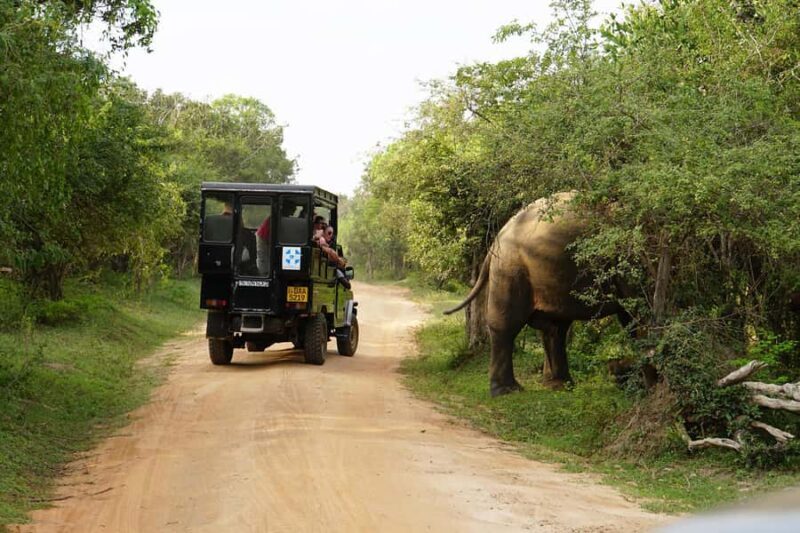 2 Days in Sri Lanka: All-Inclusive Tour to Ella and Yala with a 4-Star Hotel - Discovering the Best of Sri Lanka in 2 Days: Ella and Yala Tour Review