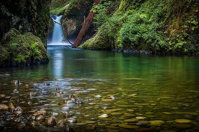 2 - Days: Jim Corbett jungle safari tour from Chennai by Flight - Who Should Consider This Tour?