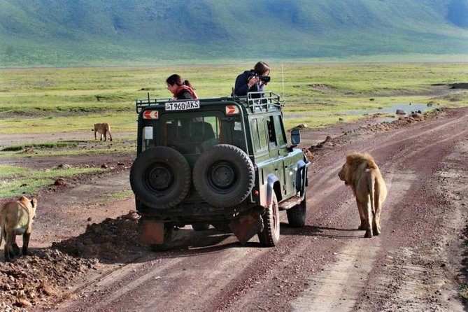 2 Days Joined Group Safari in Lake Manyara and Tarangire National Park - Meeting and Pickup