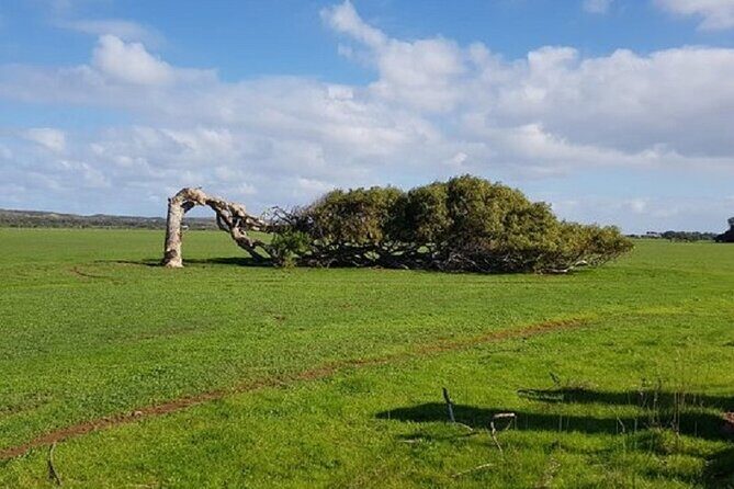 2 Days Kalbarri and Pink Lake Tour Monday Departure - Final Thoughts