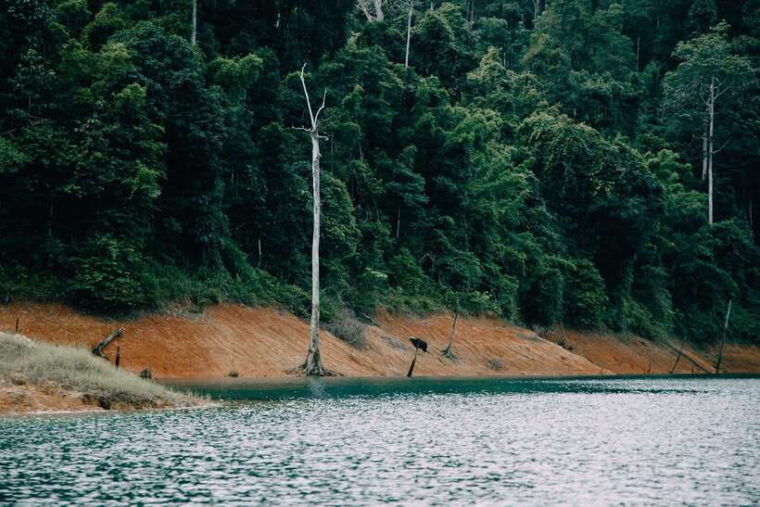 2 Days Khao Sok With Overnight at Cheow Lan Lake Raft House - Inclusions and Exclusions